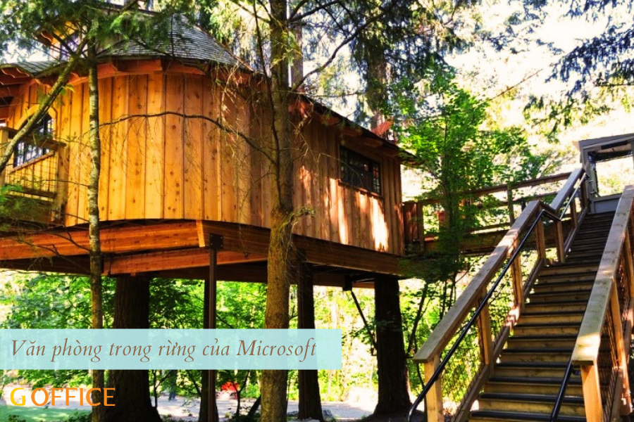Văn phòng xanh giữa rừng của Microsoft